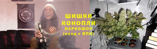 дмт Абаза