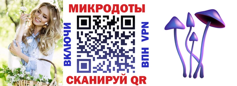 Псилоцибиновые грибы мицелий  маркетплейс наркотические препараты  Бокситогорск  дарнет шоп 